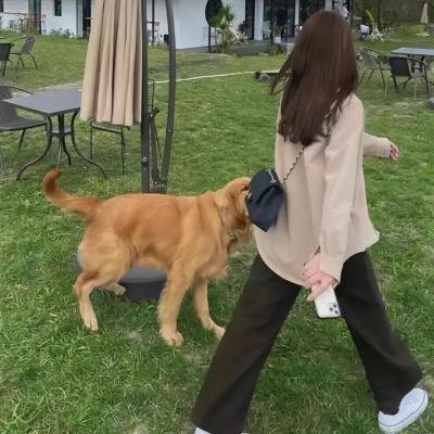 月光男孩